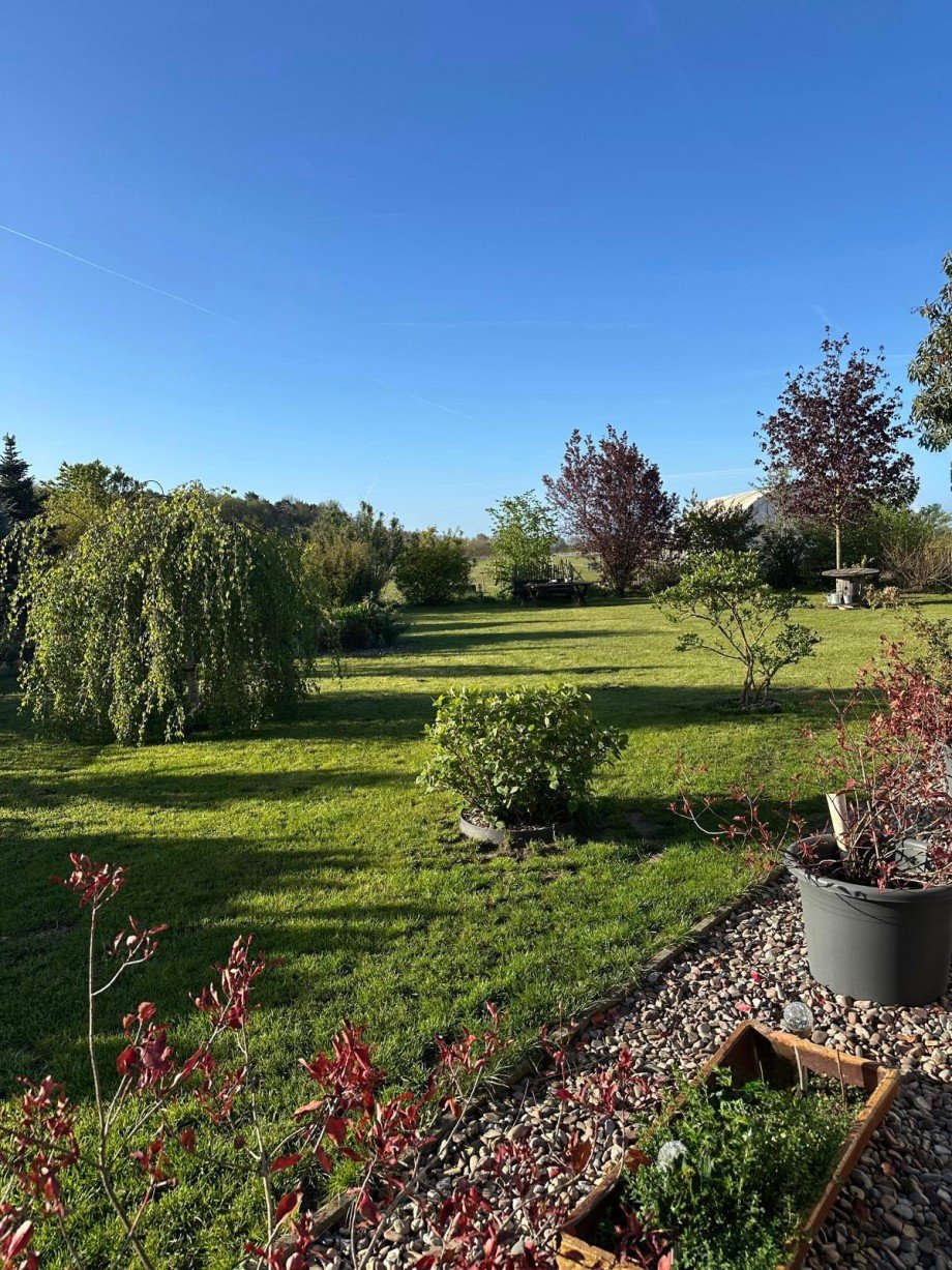 Blick in den Garten Einfamilienhaus Lachendorf
